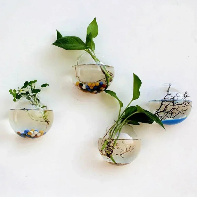 Hydroponic Hanging Glass Vase – Wall-Mounted Transparent Terrarium for Flowers or Fish