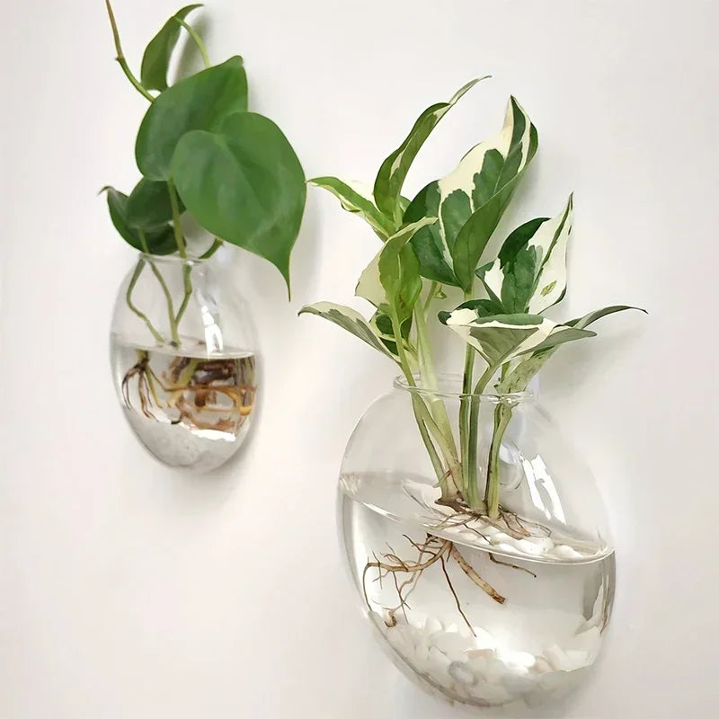 Hydroponic Hanging Glass Vase – Wall-Mounted Transparent Terrarium for Flowers or Fish