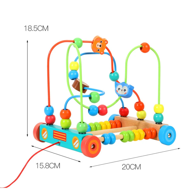 Montessori Bead Maze
