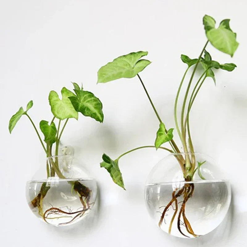 Hydroponic Hanging Glass Vase – Wall-Mounted Transparent Terrarium for Flowers or Fish