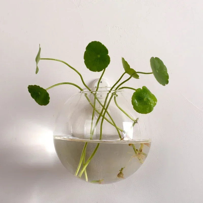 Hydroponic Hanging Glass Vase – Wall-Mounted Transparent Terrarium for Flowers or Fish