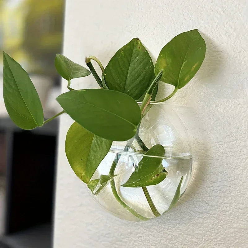 Hydroponic Hanging Glass Vase – Wall-Mounted Transparent Terrarium for Flowers or Fish
