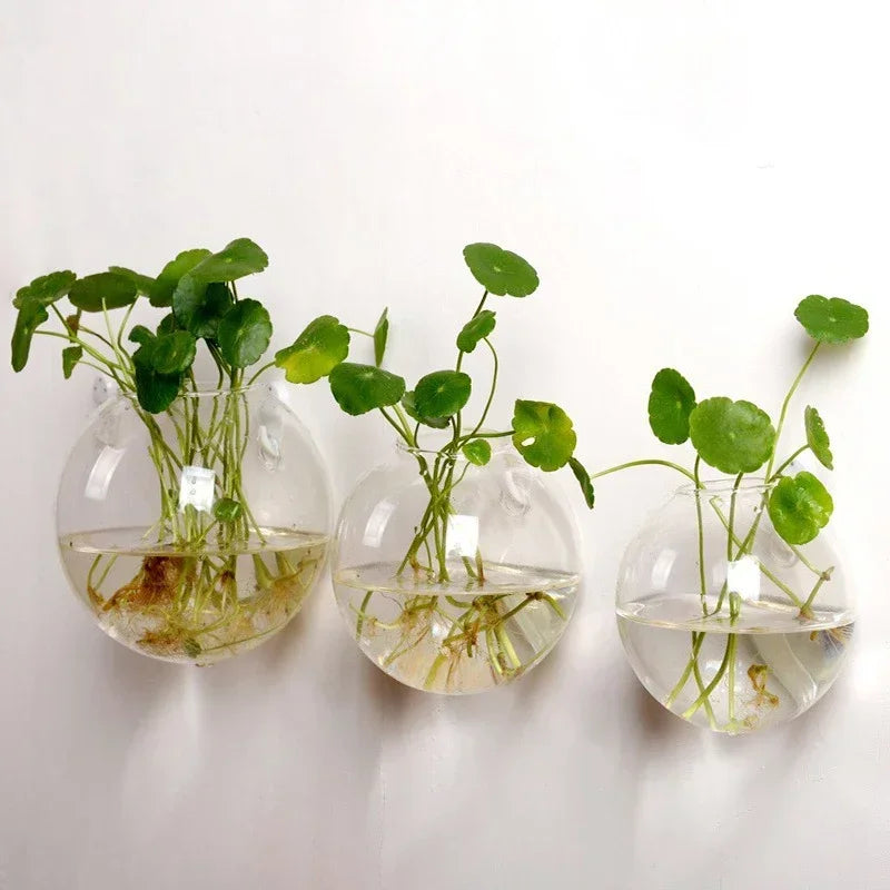 Hydroponic Hanging Glass Vase – Wall-Mounted Transparent Terrarium for Flowers or Fish
